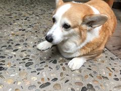 -茶米人台湾料理·精致快简餐