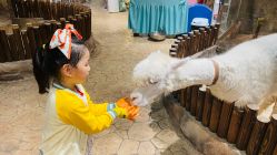 -宝燕乐园(闵行旗舰店)