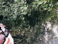 -野象谷景区