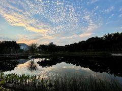 -四海公园(南山区)