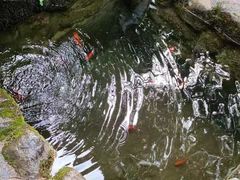 -寂照庵