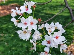 -上海辰山植物园