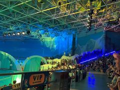 -海合安青岛极地海洋公园