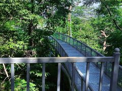 -黄金寨原生态旅游区