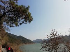 -羚羊峡古栈道森林公园