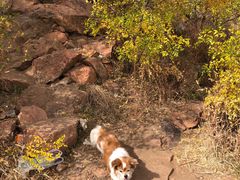 -红山国家森林公园