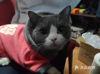 检查结果是膀胱发炎，打了消炎针