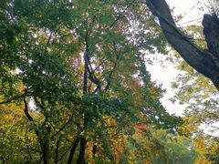 -国生茶庄·地道农家菜团建活动