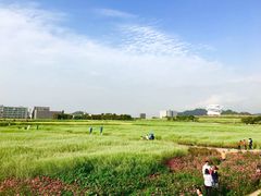 -光明小镇欢乐田园