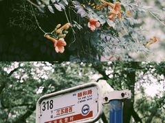 -颐和路民国时期公馆-风貌区