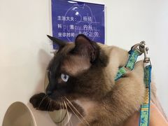 -芭比堂动物医院·CT·微创中心(新顺分院)