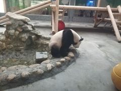 -西安秦岭野生动物园