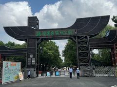 -溱湖国家湿地公园