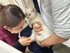 -美联众合爱康动物医院•复杂内科•肿瘤科•牙科•腔镜诊疗中心