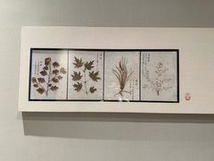 -南京君和堂中医门诊部