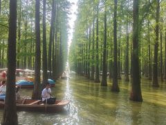 -渌洋湖湿地公园