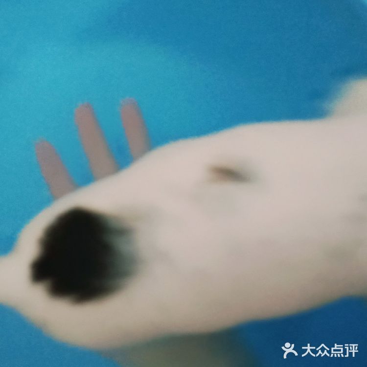 今天又收留一个小活宝 下午去朋友厂里有事，看见她厂里