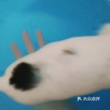 今天又收留一个小活宝 下午去朋友厂里有事，看见她厂里