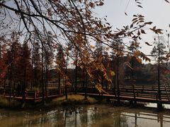 -凤凰沟景区