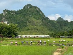 -靖西鹅泉风景区