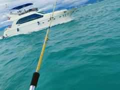 -小猫钓鱼海钓俱乐部(椰梦长廊店)