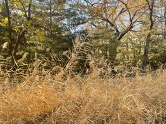 -森林公园(尖草坪区)