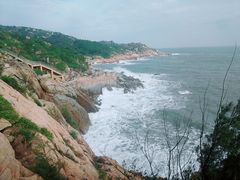 -广东惠东海龟国家级自然保护区