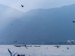 -海埂大坝