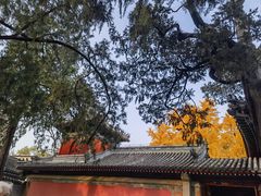 -承恩寺