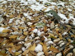 -徐州老菜馆(中枢街店)