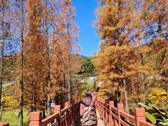 -广州市石门国家森林公园