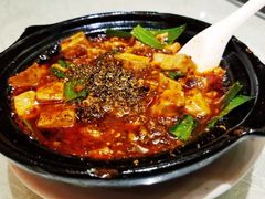 -陈麻婆豆腐总店