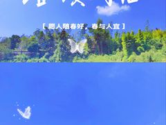-蔡伦竹海