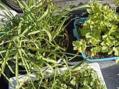 -香港威特瑞茶餐厅(小白楼音乐厅店)