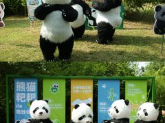 -五龙山野生动物王国