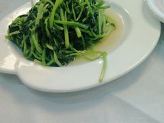清炒鸡毛菜-峨嵋酒家(德内店)