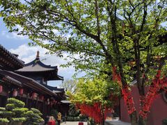 -广富林郊野公园