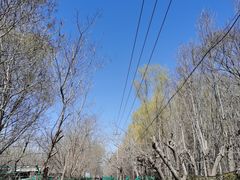 -亲兄弟真人CS团建拓展基地