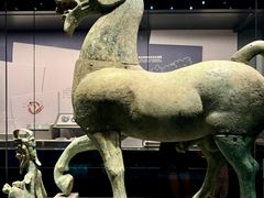 -广西壮族自治区博物馆