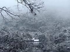 -青城山