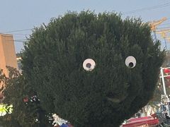 -特克斯八卦城