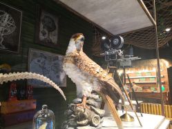 -奇幻丛林(佛罗伦萨小镇店)