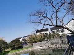 -树山生态村