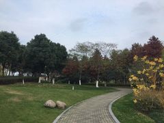 -尚贤河湿地