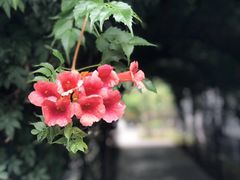 -T80科技文化国际社区-停车场