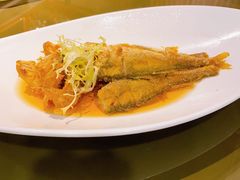 糟香小黄鱼-申粤轩酒楼(丁香花园店)