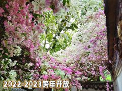 -深圳国际园林花卉博览园