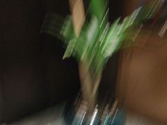 -徐记海鲜(观沙岭|滨江新城店)