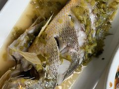 大黄鱼雪菜蒸-高佳庄·舟山海鲜(海景旗舰店)