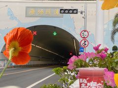 -南澳岛打卡果汁冰公司